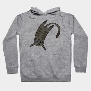 Blue Green Eyes Tabby Cat Illustration Hoodie